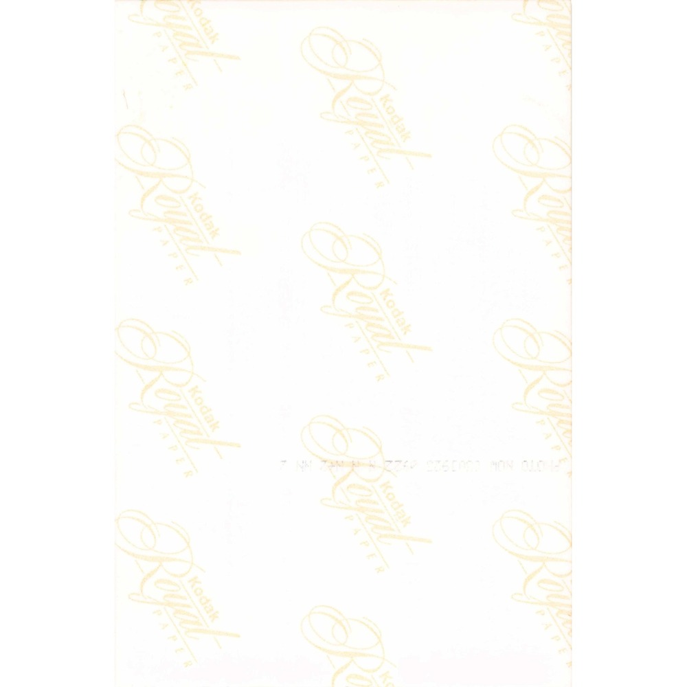 Vtg 1980s Hooters Restaurant Group Photo Kodak Royal Paper - Picture 2 of 2